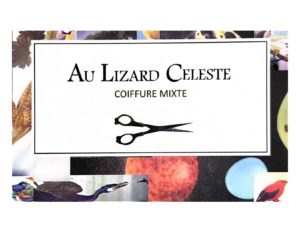 Coiffure mixte au Lizard Céleste